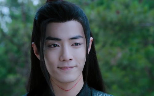 陈情令在原著中,魏无羡最在乎的不是蓝忘机,而是从未出镜的她