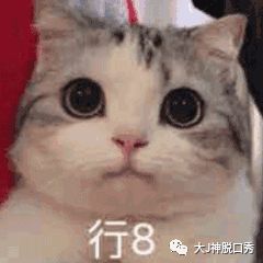 雾霾阻止不了大妈,他们已经在酒店大堂跳起了广场舞