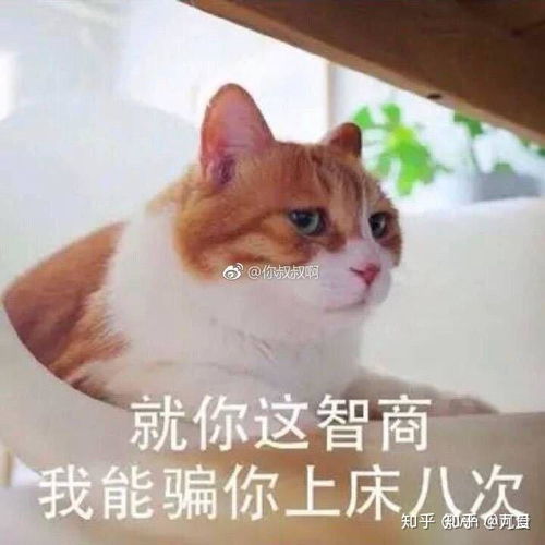 各位表情帝能否分享一些很污的表情包