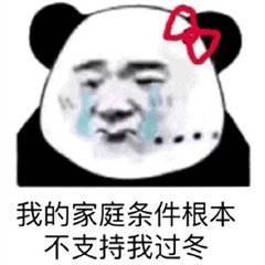 熊猫头表情包小伙伴们,快出来,看我带来了什么