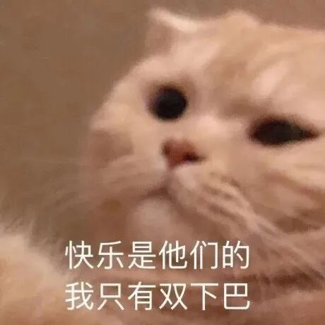 搞笑表情包拿图片让你见识一下真正的目瞪口呆