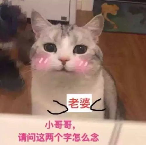 所有会这样吃的人都瘦了,不信就来试试