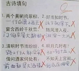 小学生考试得0分,老师气得吐血三碗快来看看卷子上都写了啥