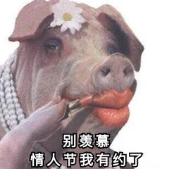 适合情人节发的表情包呐,给你花花,情人节快乐