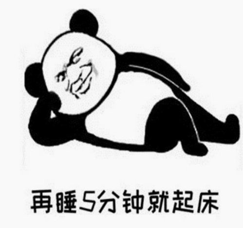 表情包再睡一会儿就起床了