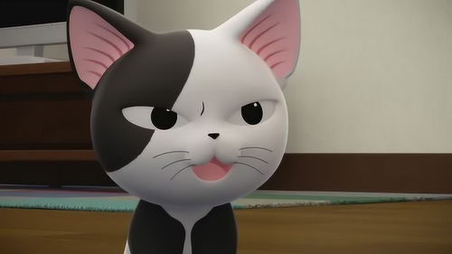 甜甜私房猫可奇,你在干什么呢