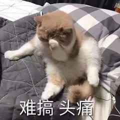 非洲微笑表情包图片大全我真的很想融入你们表情包下载乐游网游戏下载