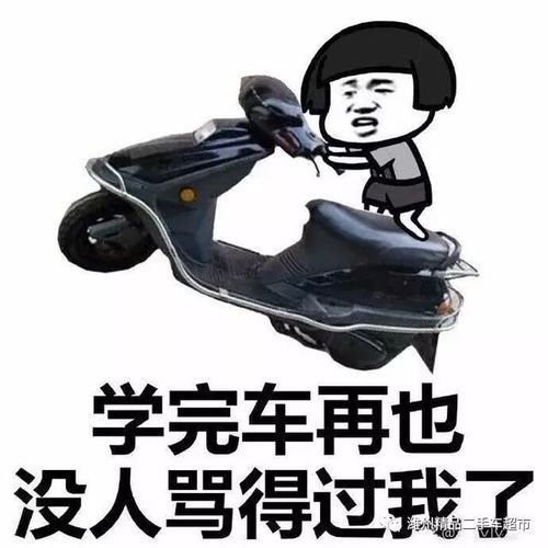最热学车表情包合集学车前学车后
