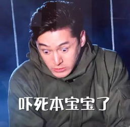 热烈欢迎表情包陈山聪