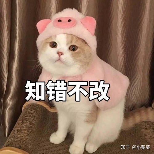 女朋友不肯花时间陪我,我该怎么办