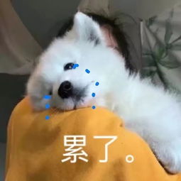 现实生活中的大八卦,简直比演电视剧还要精彩