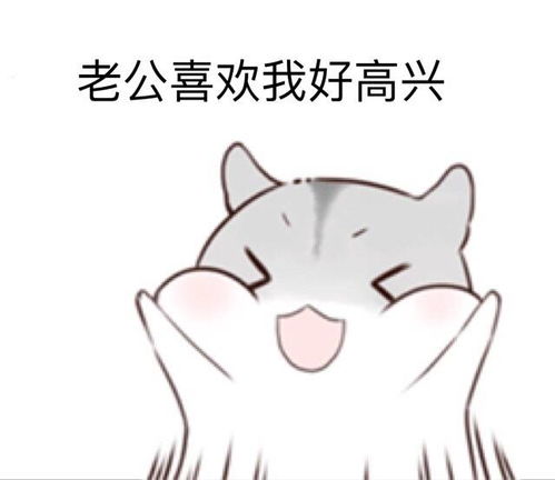 仓鼠表情包日常卖萌堆糖,美好生活研究所