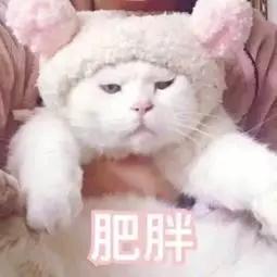我不是针对谁,在座的各位,都不会扔垃圾