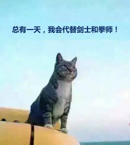 大半夜笑出猪声表情包小学生