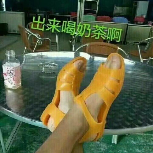 你手机里用了超久的表情包是怎样的