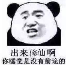 沙雕搞笑熊猫头表情包