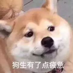 有没有超极可爱的表情包