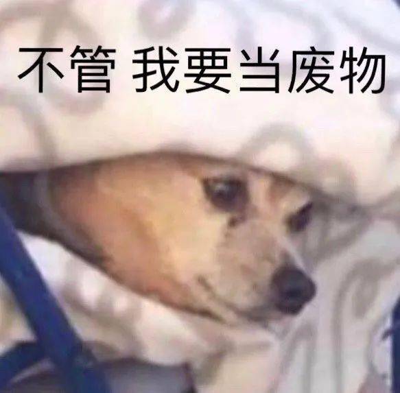 别拍我了