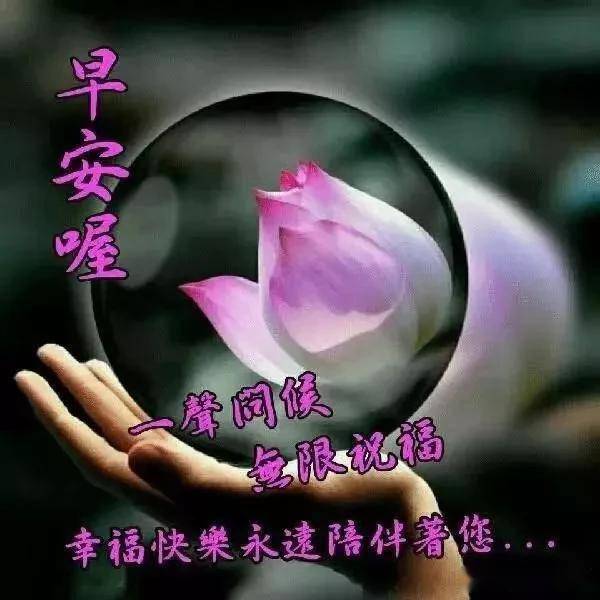朋友不一定合情合理,但要知心知意不一定形影不离,但要心心相惜