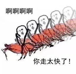 摔摔摔番禺网签价竟2.6万了历史最高周均价