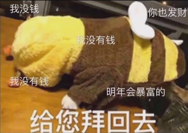 推荐一波中国春节要红包好玩的表情包