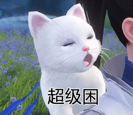 嗷嗷叫的表情包猫咪