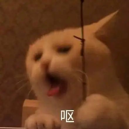 封控下的魔幻上海豪宅业主团购万元汉堡,普通市民绿化带里夺笋