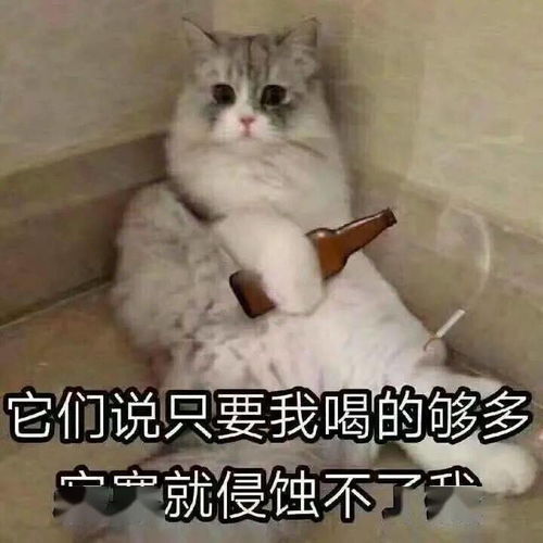 我言而无信,我自甘堕落,我无药可救每日搞笑段子