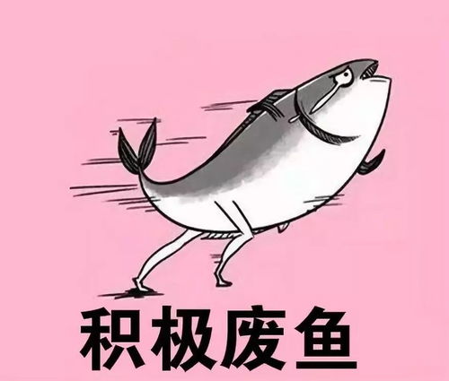 还积极废人你就是个废人
