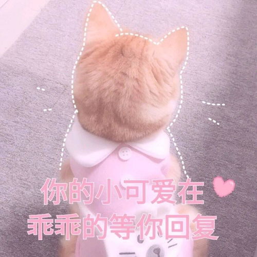 有什么适用于和老公男票撒娇的可爱表情包