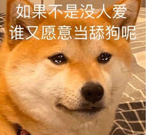 用完就抛弃男子当保安供女友读完大学,女友说不是一个世界的人