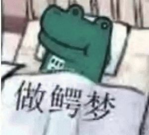 轻松一刻现在这些网红,不是退网了就是落网了
