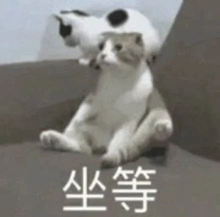 疫情民办100摇号,对成都小升初有什么影响