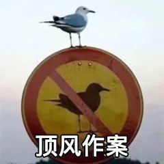 要说解放双手,它怎么能缺席