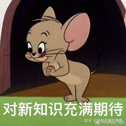 黄皮耗子表情包老鼠