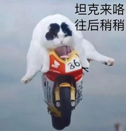 我一个男生为了融入双十一也进了李佳琦直播间