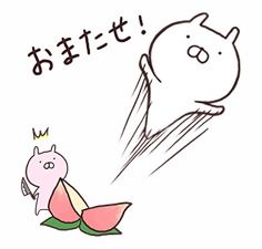 有没有人知道这个表情包的猫叫什么名字呀
