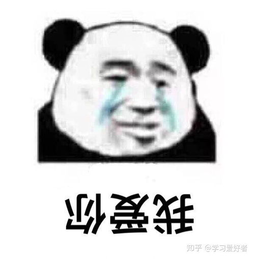 表情包可爱小孩爱上我