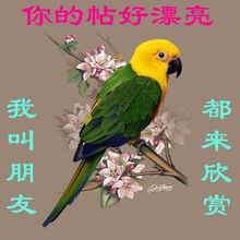 音乐长廊吧快四最炫民族风寒冰