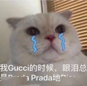 郑爽代孕又弃养,情节恶劣毫无人性搞得prada股价大跌
