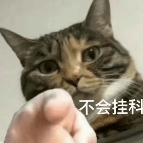 2022安农旺旺大礼包正式上线