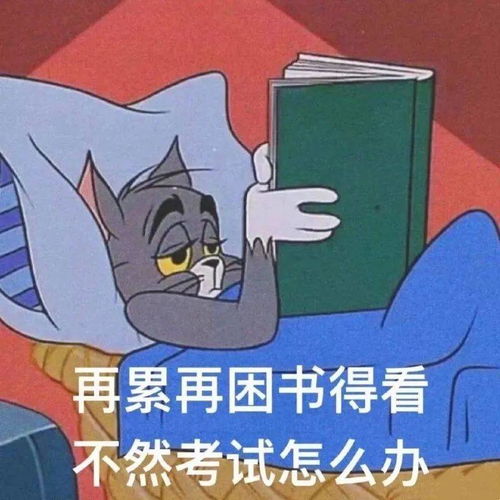 童年动画回忆你还记得哪几部