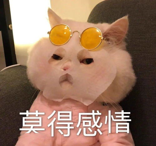 小老师表情包小默先生