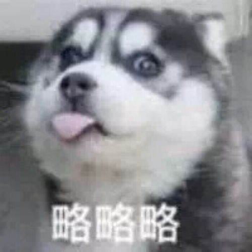 沙雕萌宠表情包日子还有啥盼头