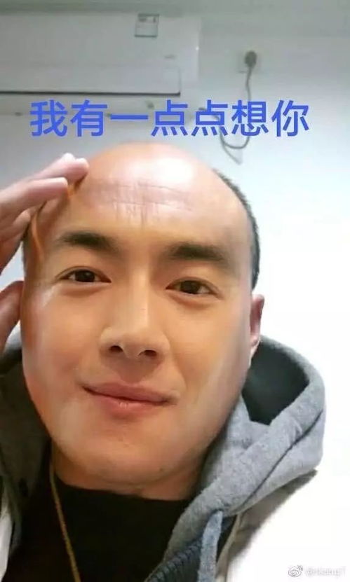 林更新一个把明星微博大号玩成私人逗比大号的微博玩家
