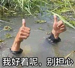 分手的第七天,我们变成了同学