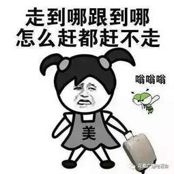 蚊子也中暑快翻缸倒罐,清积水