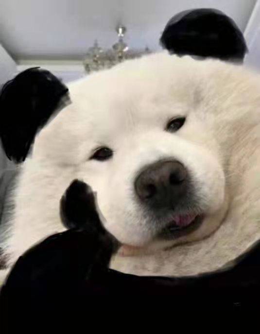 年纪轻轻就什么都要学吗