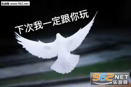 下次我一定跟你玩鸽子表情包带着微笑入睡图片表情包下载乐游网游戏下载