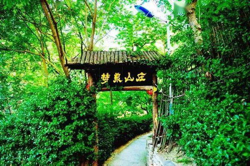 淄博这个地方已经让绿色包围,夏天去,文艺又出圈
